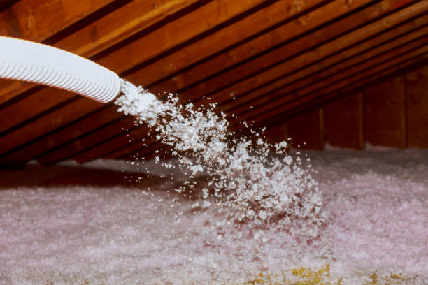 Best Basement Insulation  in Janesville, MN